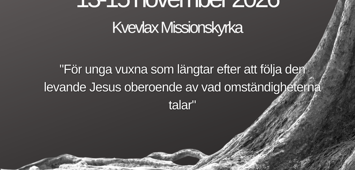 Reklam bild för Roots